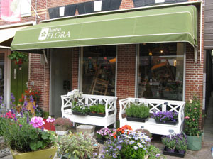 Winkel foto